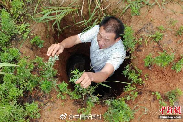 發錢！財政部提前下達2020年可再生能源補貼：合計56.7542億元