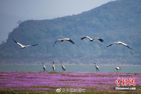 年輕股民需要補課的“老八股”故事