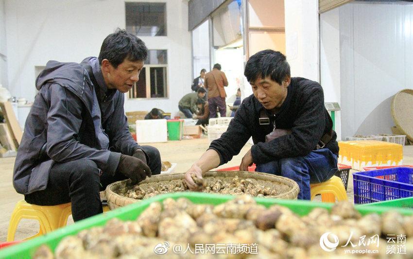 云南電網開啟新型電力系統運維新模式