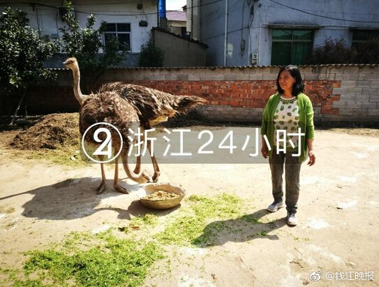 【NEX2023】第十七屆中國新能源國際博覽會暨高峰論壇開幕在即